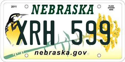 NE license plate XRH599