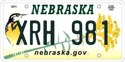 NE license plate XRH981