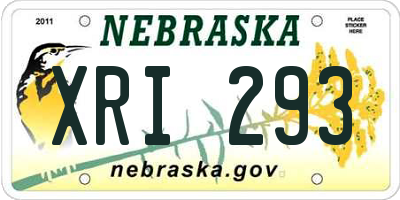 NE license plate XRI293