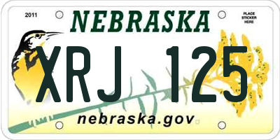 NE license plate XRJ125