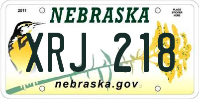 NE license plate XRJ218