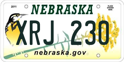 NE license plate XRJ230
