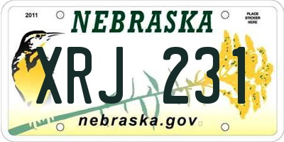 NE license plate XRJ231