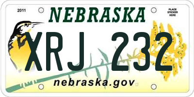 NE license plate XRJ232