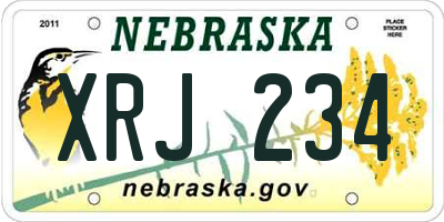 NE license plate XRJ234