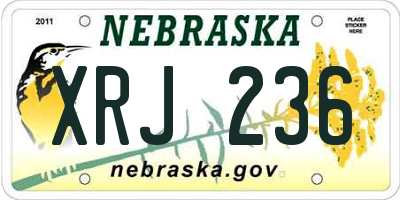 NE license plate XRJ236