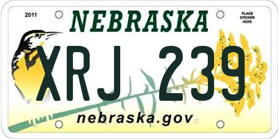 NE license plate XRJ239