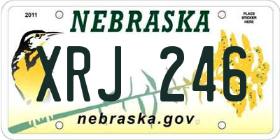 NE license plate XRJ246