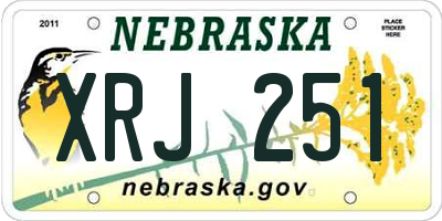 NE license plate XRJ251