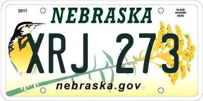NE license plate XRJ273