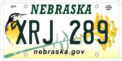 NE license plate XRJ289