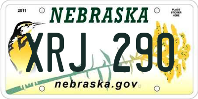 NE license plate XRJ290