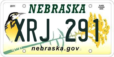 NE license plate XRJ291