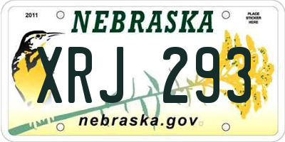 NE license plate XRJ293
