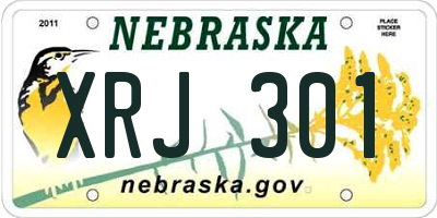 NE license plate XRJ301