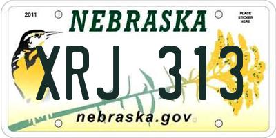NE license plate XRJ313