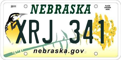 NE license plate XRJ341