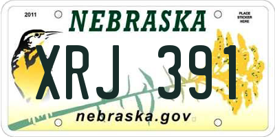 NE license plate XRJ391