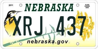 NE license plate XRJ437