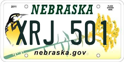 NE license plate XRJ501
