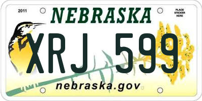 NE license plate XRJ599