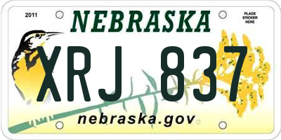 NE license plate XRJ837