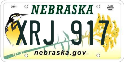 NE license plate XRJ917