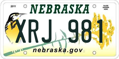 NE license plate XRJ981