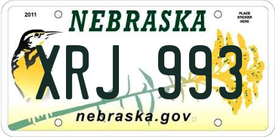 NE license plate XRJ993