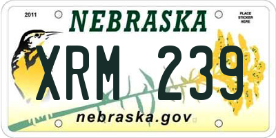 NE license plate XRM239
