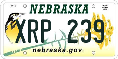 NE license plate XRP239