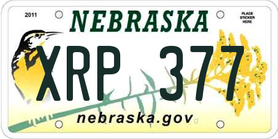 NE license plate XRP377