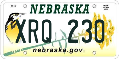 NE license plate XRQ230