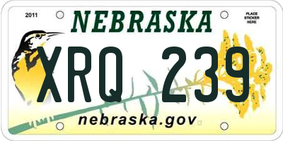 NE license plate XRQ239