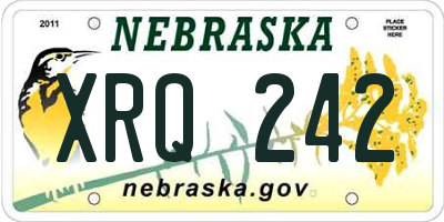 NE license plate XRQ242