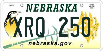 NE license plate XRQ250