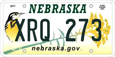 NE license plate XRQ273