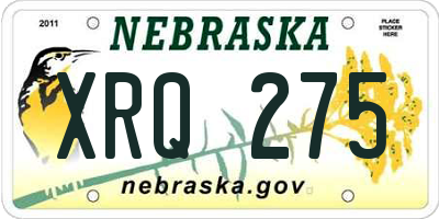 NE license plate XRQ275