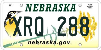NE license plate XRQ288