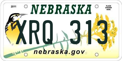 NE license plate XRQ313