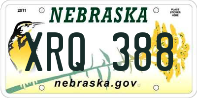 NE license plate XRQ388