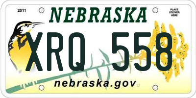 NE license plate XRQ558