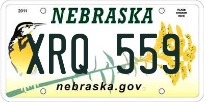 NE license plate XRQ559