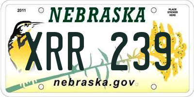 NE license plate XRR239