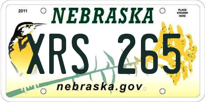 NE license plate XRS265