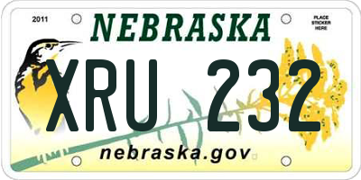 NE license plate XRU232