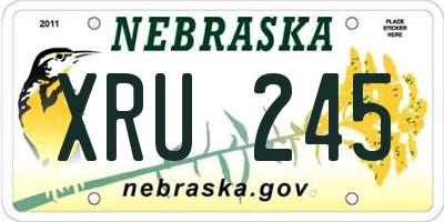 NE license plate XRU245