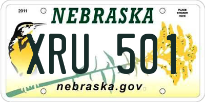 NE license plate XRU501