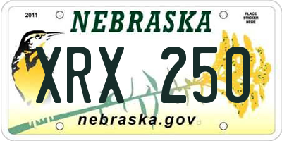 NE license plate XRX250