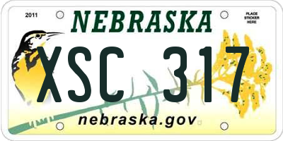 NE license plate XSC317